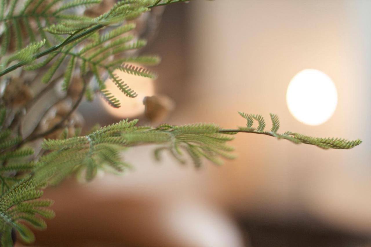 Sun Court North 7 Ichibankan / Vacation Stay 7374 Sapporo Buitenkant foto